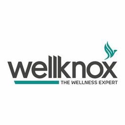Wellknox Digital Logo