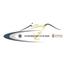 ACCADEMIA DELL'ALTO MARE Logo