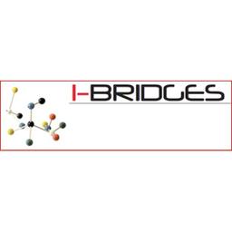 IBridges International Business Logo