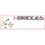 IBridges International Business Logo
