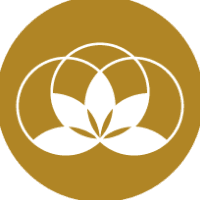 Soul Light Food Logo