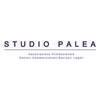 Studio Palea entered Andersen Logo
