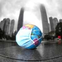 Pro-Principle PPE Logo