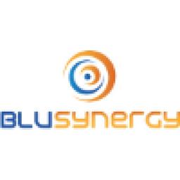 Blu Synergy Logo