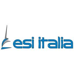 ESI Italia srl Logo