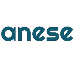 ANESE Logo
