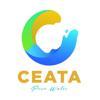 CEATA INGENIERIA Logo