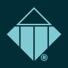 TTI SUCCESS INSIGHTS ESPAÑA Logo