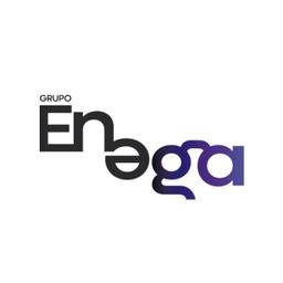 Grupo Enega Logo
