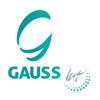 Gauss International Consulting Logo