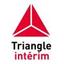 Triangle Interim Solutions RH Logo
