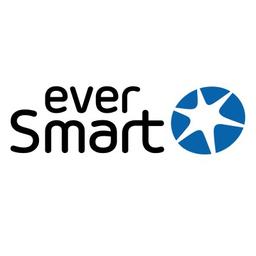 Ever Smart Technologies Logo