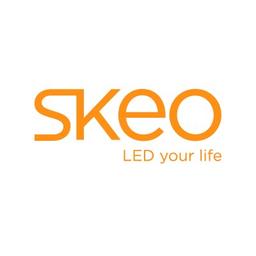 Skeo Logo