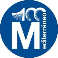 El Periódico Mediterráneo Logo