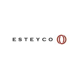 ESTEYCO Logo
