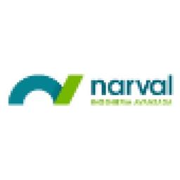 Narval Ingeniería, S.A. Logo