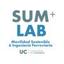 SUM+LAB - Sustainable Mobility & Railways Engineering Research Group Logo