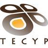 TECYP Ingeniería SL Logo