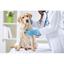 Park Hills Animal Hospital Logo