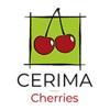 CERIMA Cherries Logo