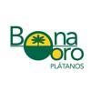 BONAORO SL Logo