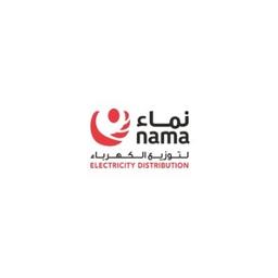 Nama Electricity Distribution Company Logo