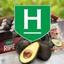 Halls Logo
