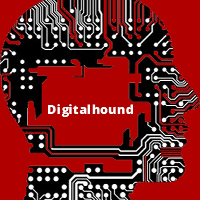 Digitalhound Ltd Logo