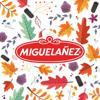 Grupo Miguelanez Logo