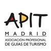 APIT Madrid Logo