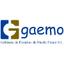 Gaemo S.L. Logo