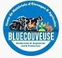 Bluecouveuse Logo