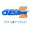 CAESA Special Profiles _ Perfiles Especiales Logo