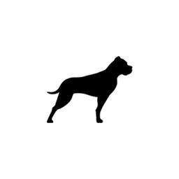 GP Bullhound Logo