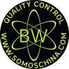 Bestway Group Ltd. Logo
