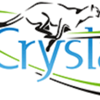 Crystal Logistic Cool Chain Ltd Logo