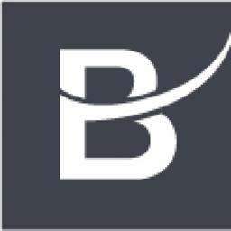 Blockchain Infrastructure Group Logo