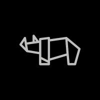 BLACK RHINO VENTURES Logo