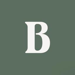Bonum Ventures Logo