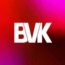 BVK Bundesverband Beteiligungskapital Logo