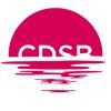 Climate Disclosure Standards Board Logo