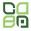 Celtic Asset & Equity Partners Logo