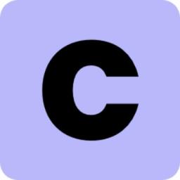 cleverpaid Logo
