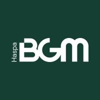 Haspa BGM Logo