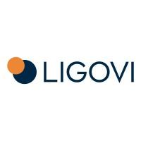 Ligovi - Betriebsberatung Logo