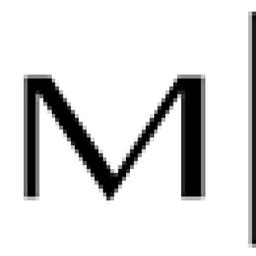 Marten Steuerberatungsgesellschaft mbH Logo