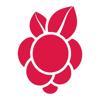MoBerries Logo