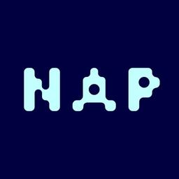 NAP Logo