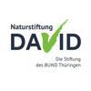 Naturstiftung David Logo