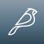 Nidobirds Ventures Logo